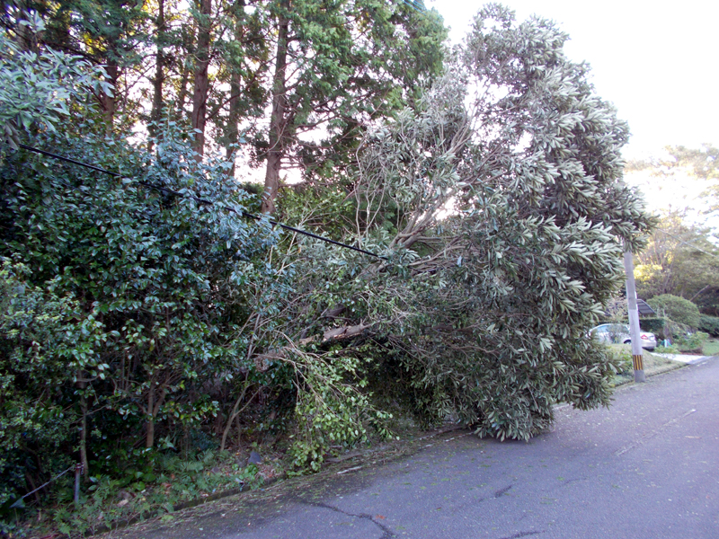 台風被害4(jpg,640k)